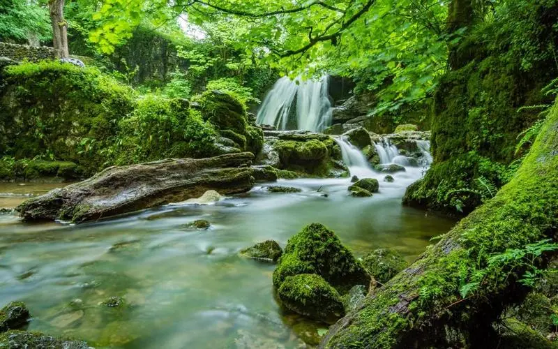 高端高精度绿色